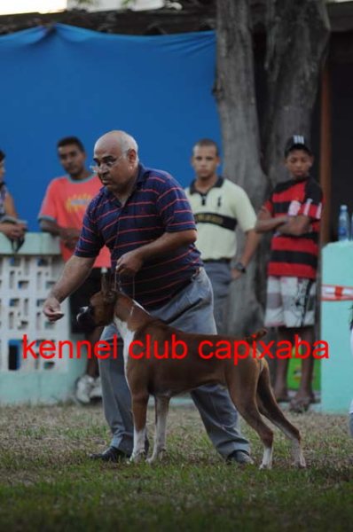 Clique sobre a foto para fechar